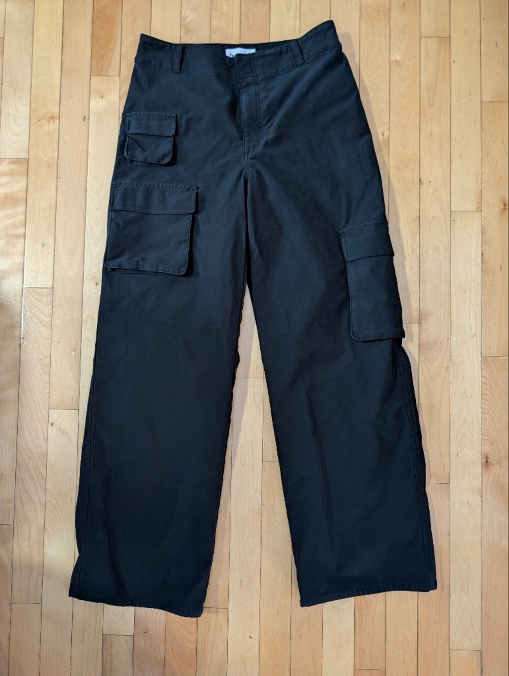 TNA Aritzia Picture Cargo Pants